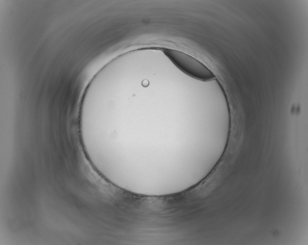 X0000112791536200909181502