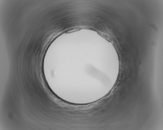 X0000112790001200910021109