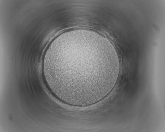 X0000112790002200910021109