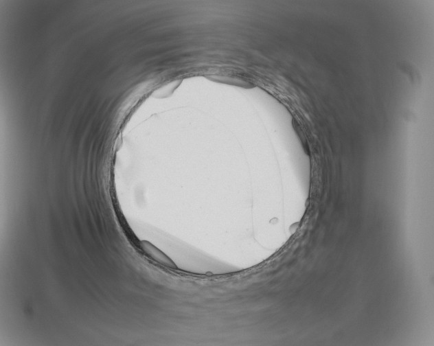 X0000112790003200910021109