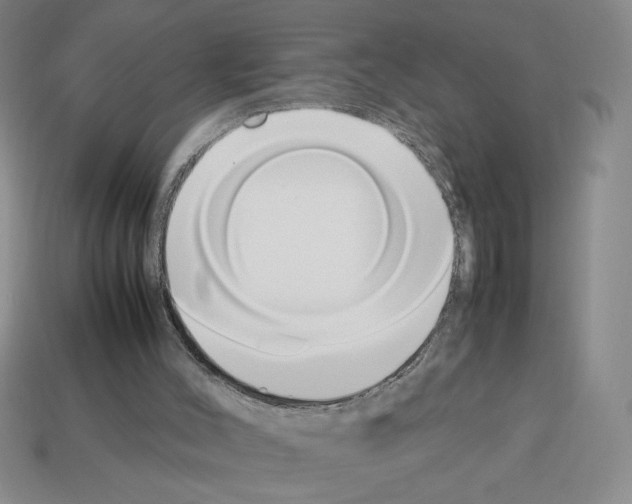 X0000112790004200910021109