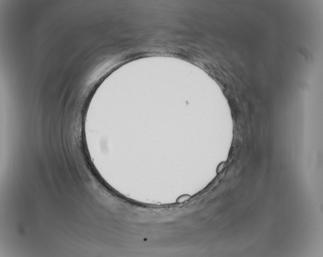 X0000112790005200910021109