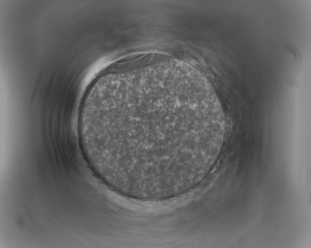 X0000112790006200910021109