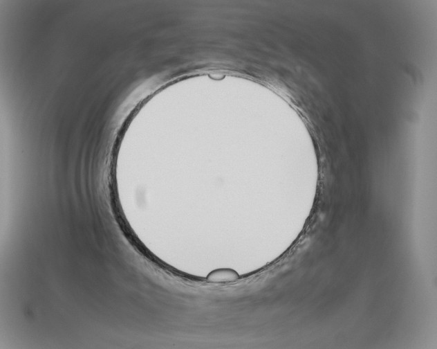 X0000112790007200910021109