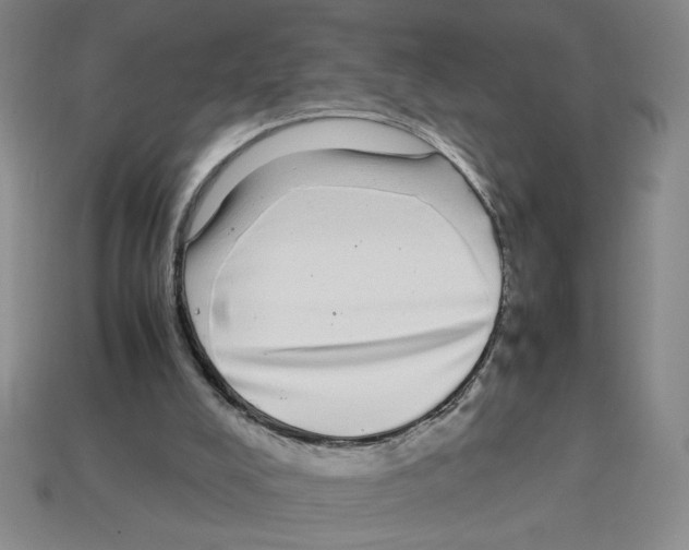 X0000112790008200910021109