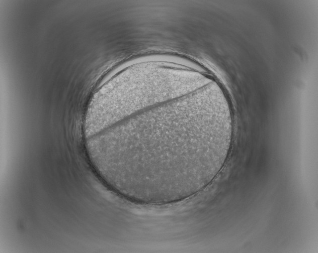 X0000112790009200910021109