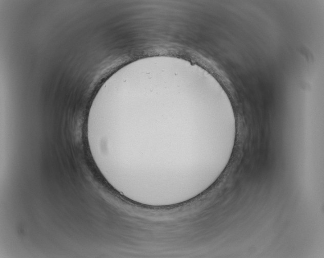 X0000112790010200910021109