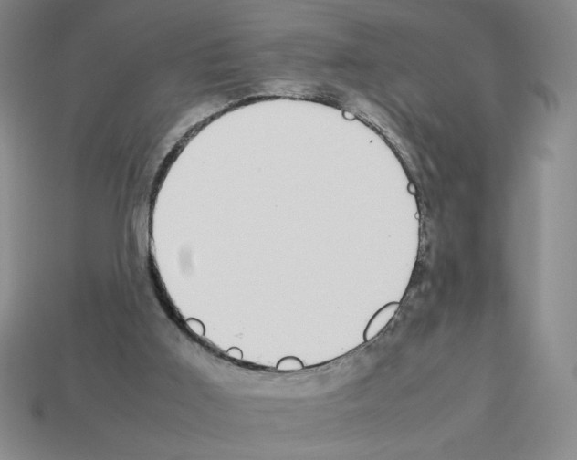 X0000112790011200910021109