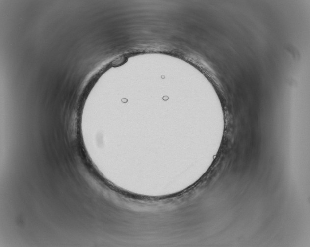 X0000112790012200910021109