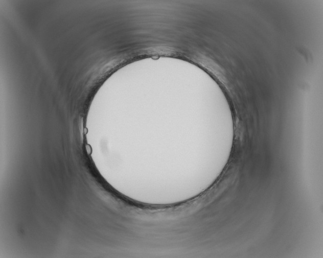 X0000112790013200910021109