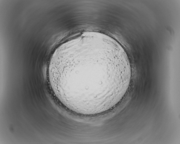 X0000112790014200910021109