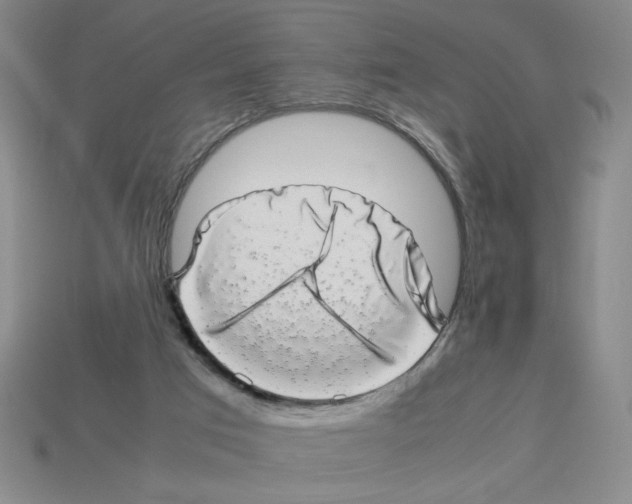 X0000112790017200910021109