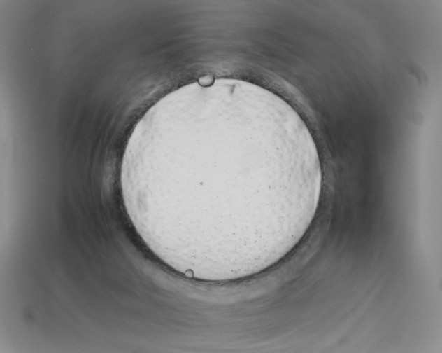 X0000112790018200910021109