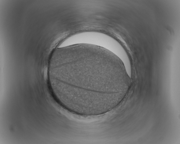 X0000112790019200910021109