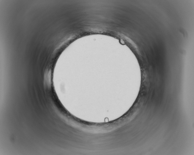 X0000112790020200910021109