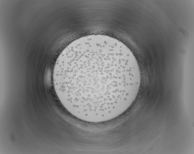 X0000112790022200910021109