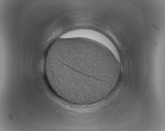 X0000112790023200910021109