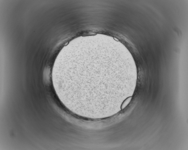 X0000112790024200910021109