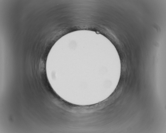 X0000112790025200910021109