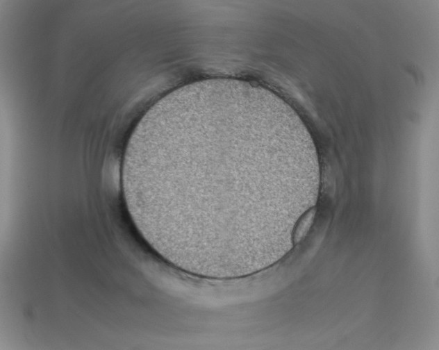 X0000112790027200910021109