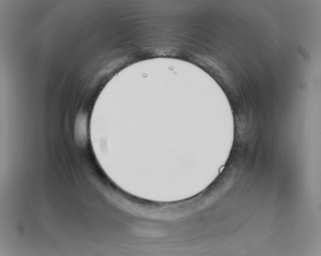 X0000112790028200910021109