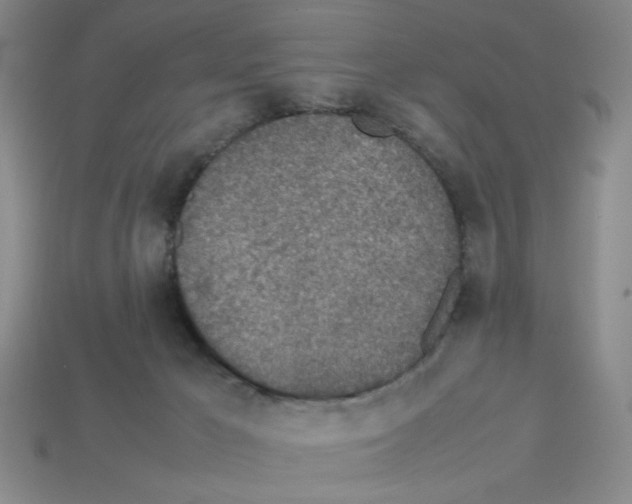 X0000112790029200910021109