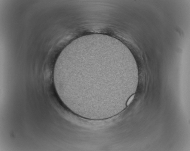 X0000112790031200910021109