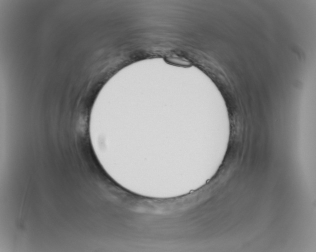 X0000112790033200910021109