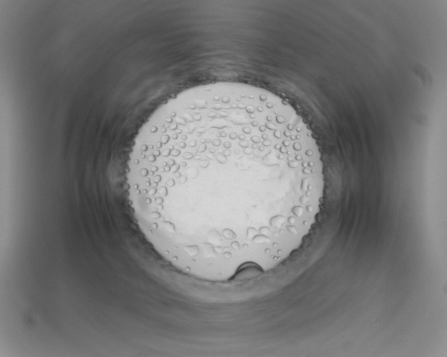 X0000112790034200910021109