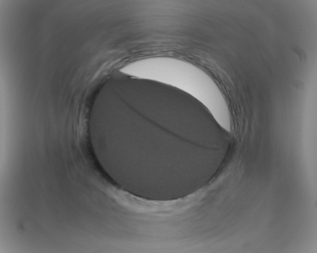 X0000112790035200910021109