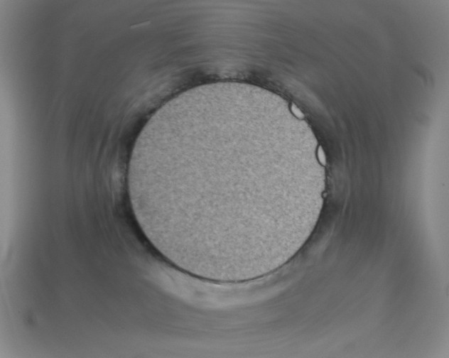 X0000112790039200910021109