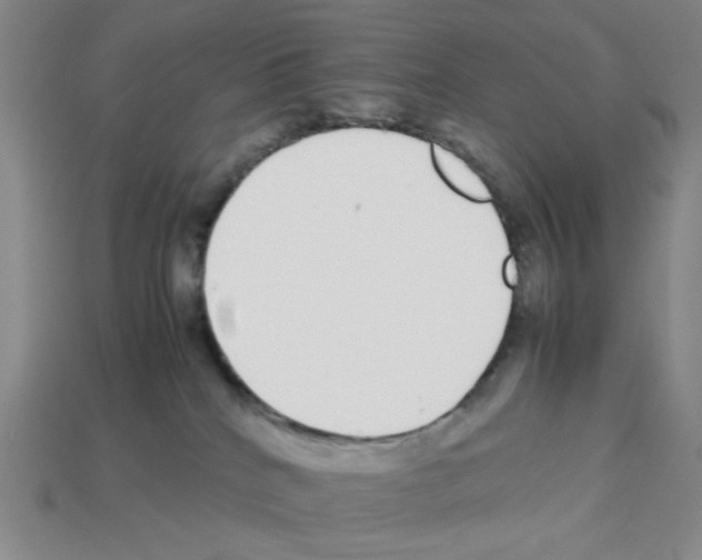 X0000112790040200910021109