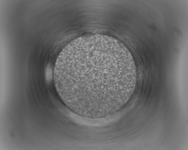 X0000112790042200910021109