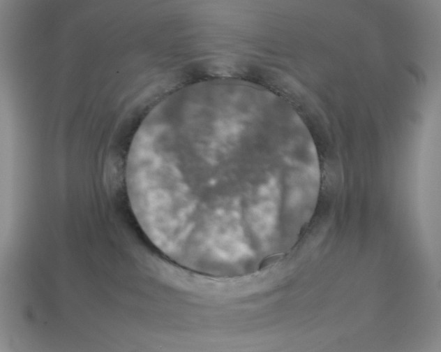 X0000112790043200910021109