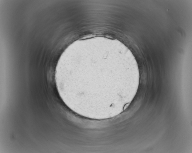 X0000112790044200910021109