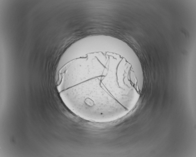 X0000112790045200910021109