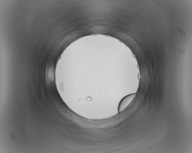 X0000112790046200910021109