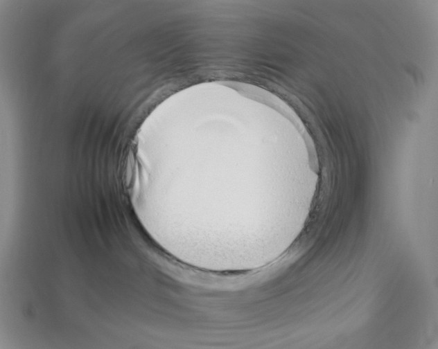 X0000112790048200910021109