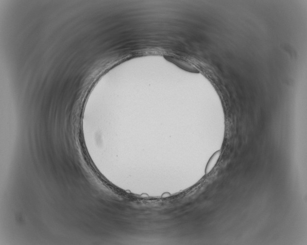 X0000112790049200910021108