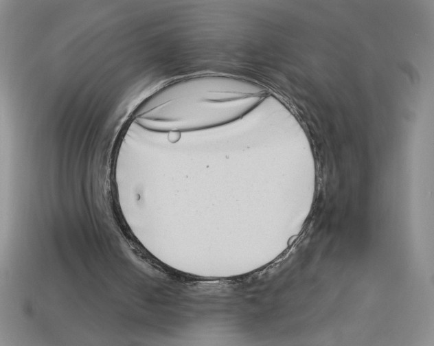 X0000112790050200910021108