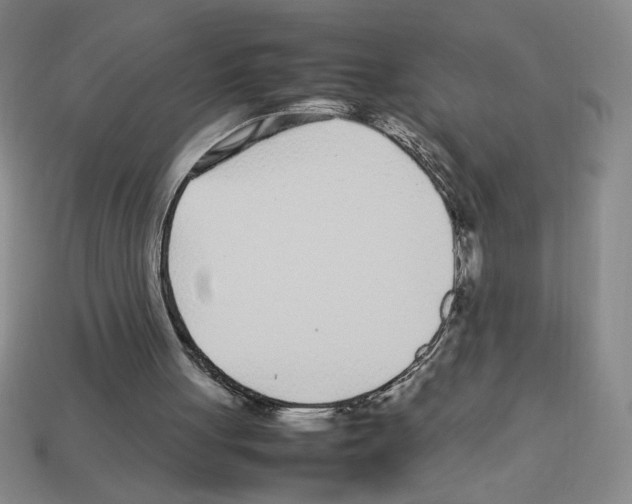 X0000112790051200910021108