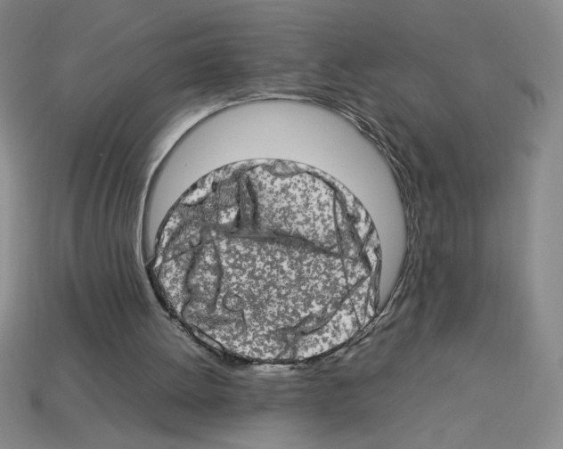 X0000112790052200910021108