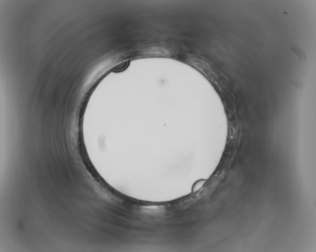 X0000112790053200910021108