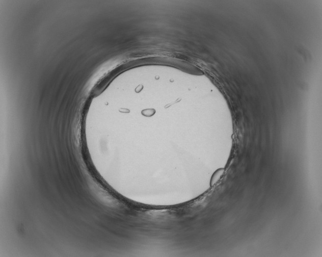 X0000112790054200910021108