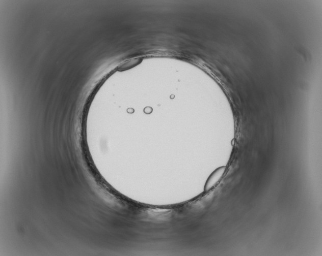 X0000112790055200910021108