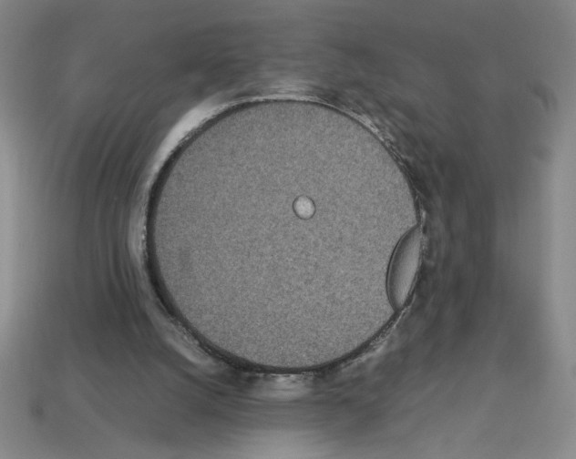 X0000112790056200910021108