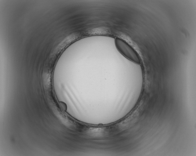 X0000112790057200910021108