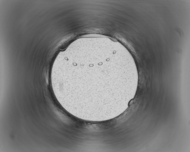 X0000112790062200910021108