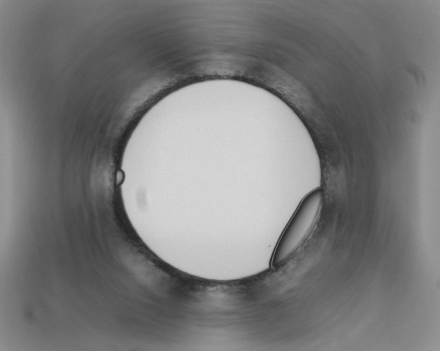 X0000112790064200910021108