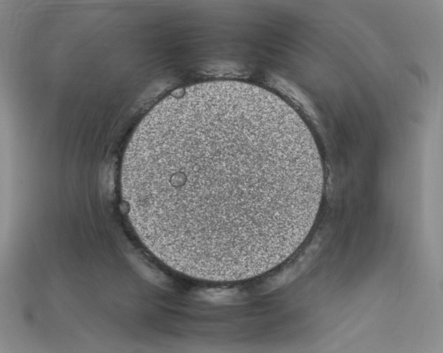 X0000112790065200910021108